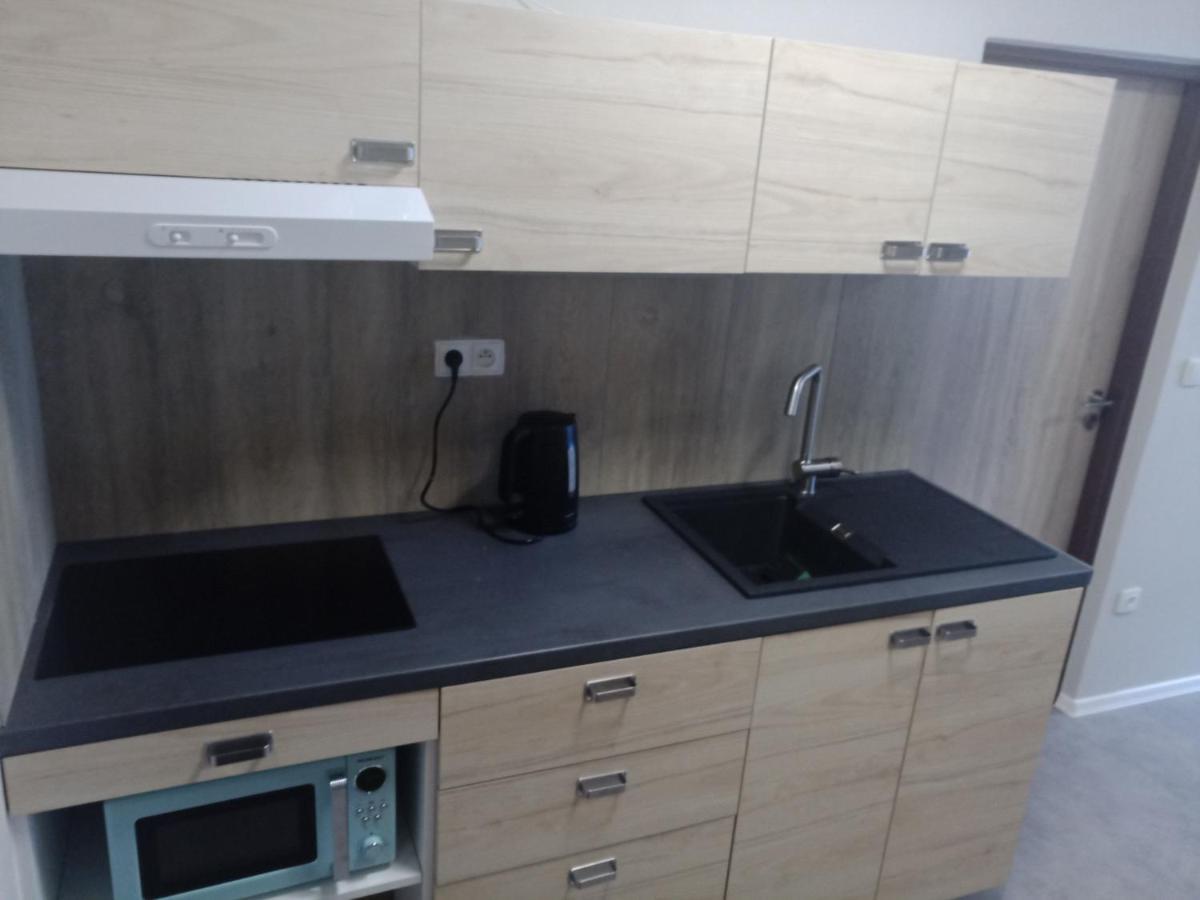 Králíky apartmán Kültér fotó